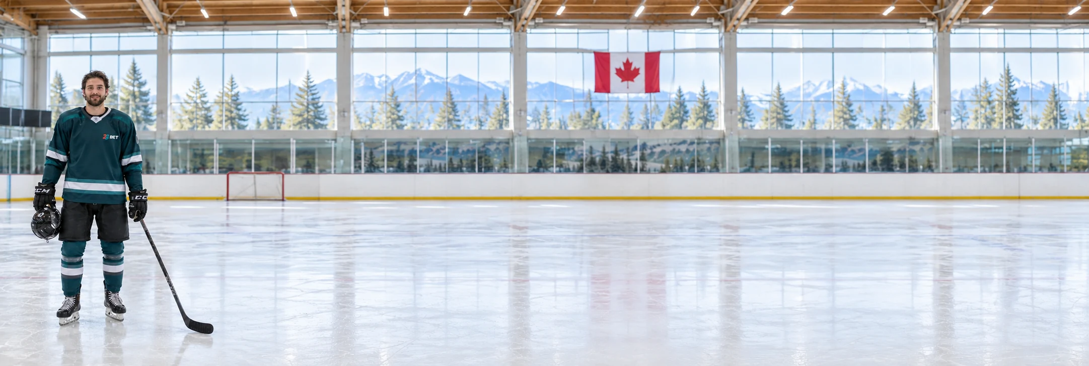 Fictional adult — hockey